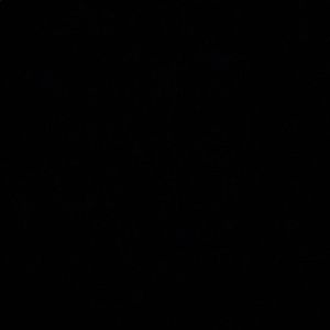 Meet your Posher, Manuel